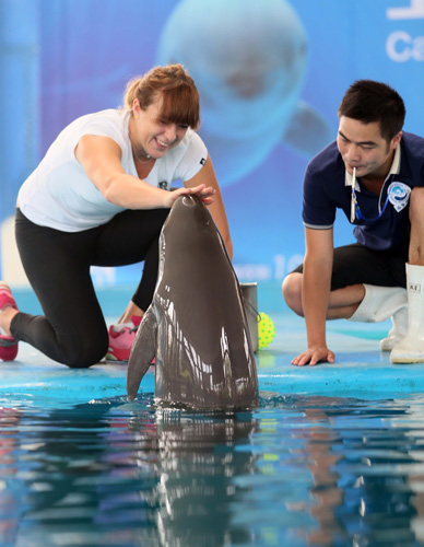 不会被连败 不会被连败